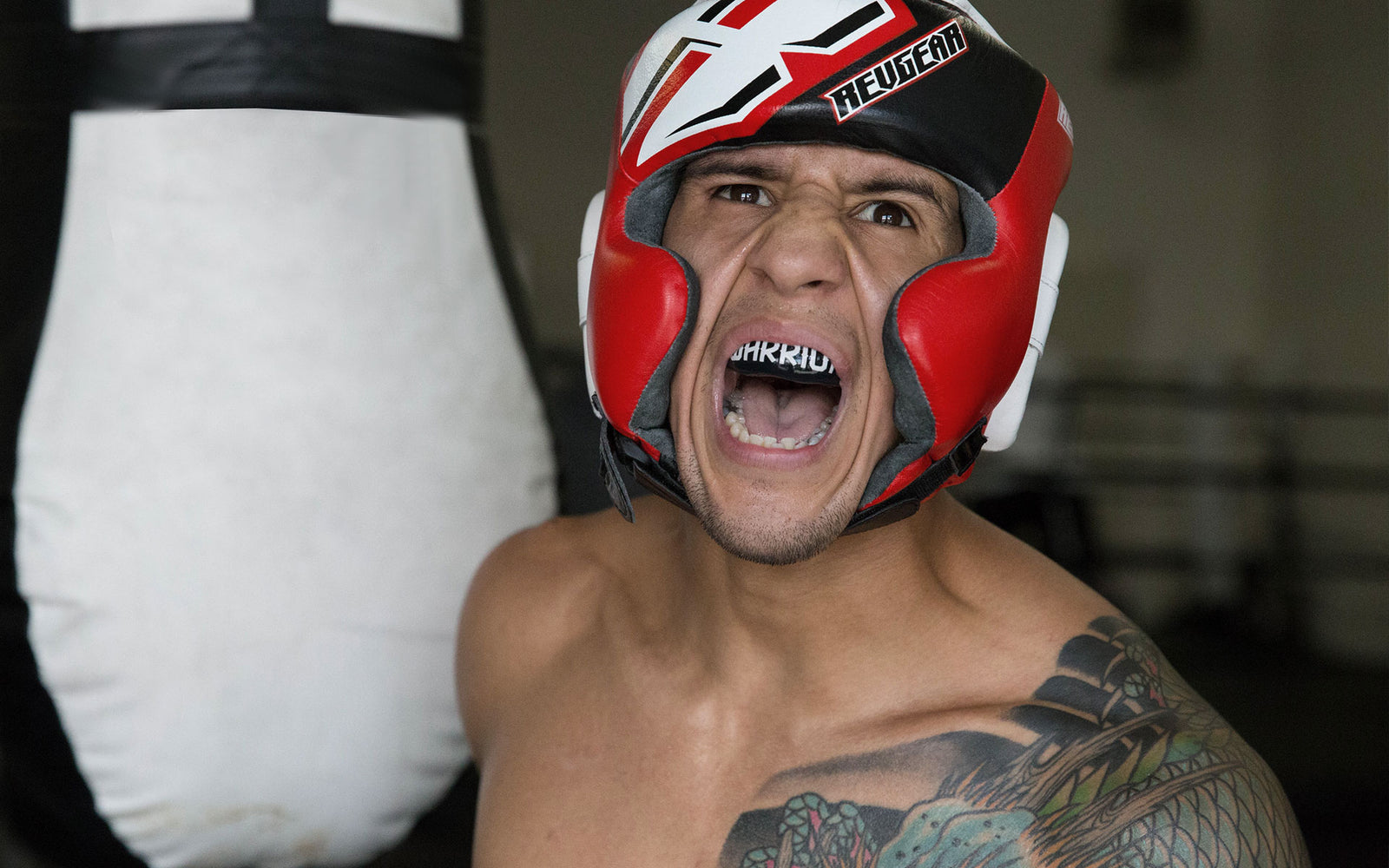 Albert-Morales Revgear