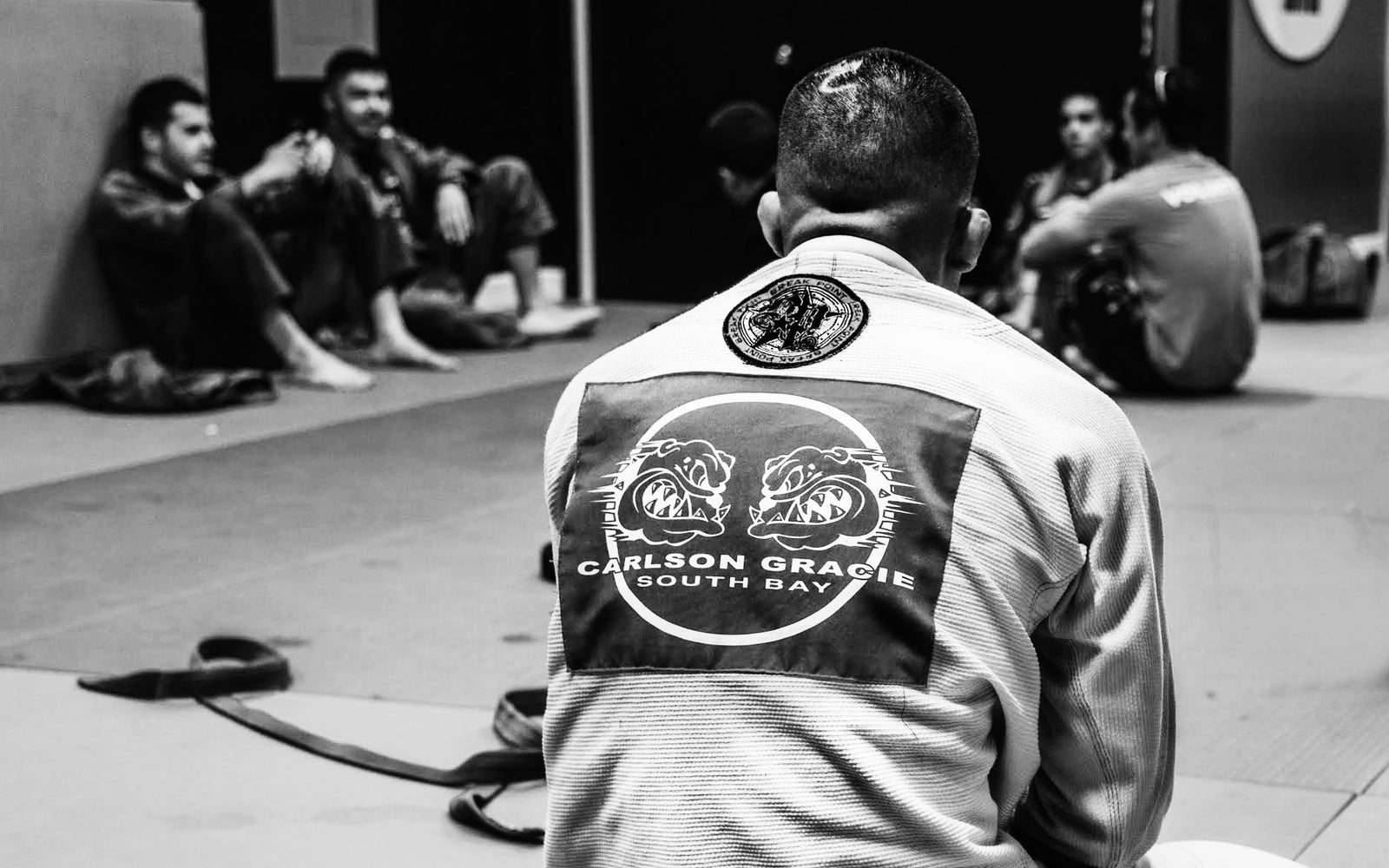 BJJ New releases
