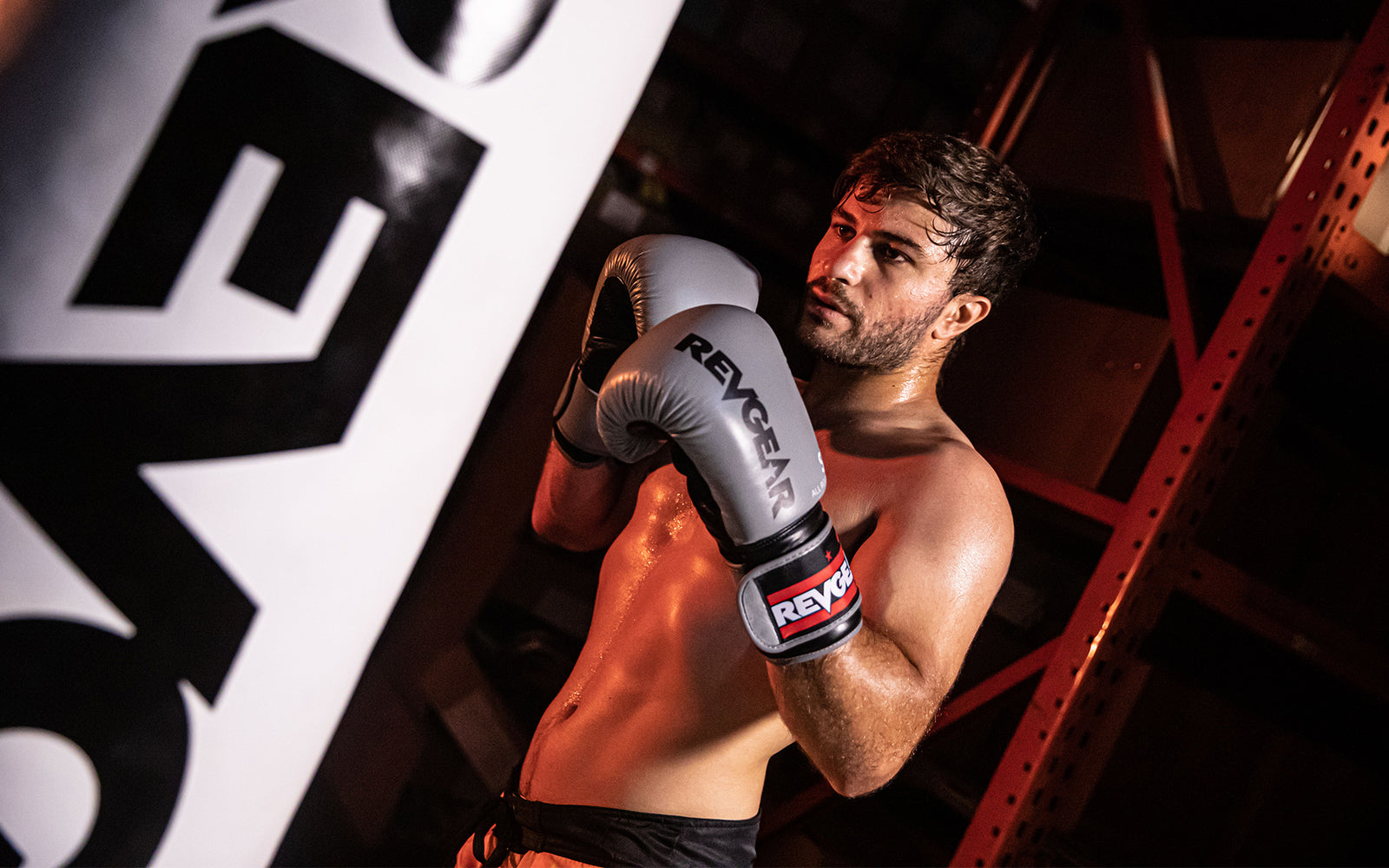 Best All Round Boxing Glove