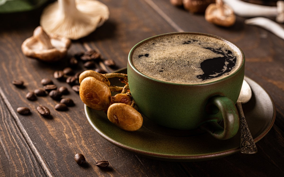 Best Mushroom Coffee