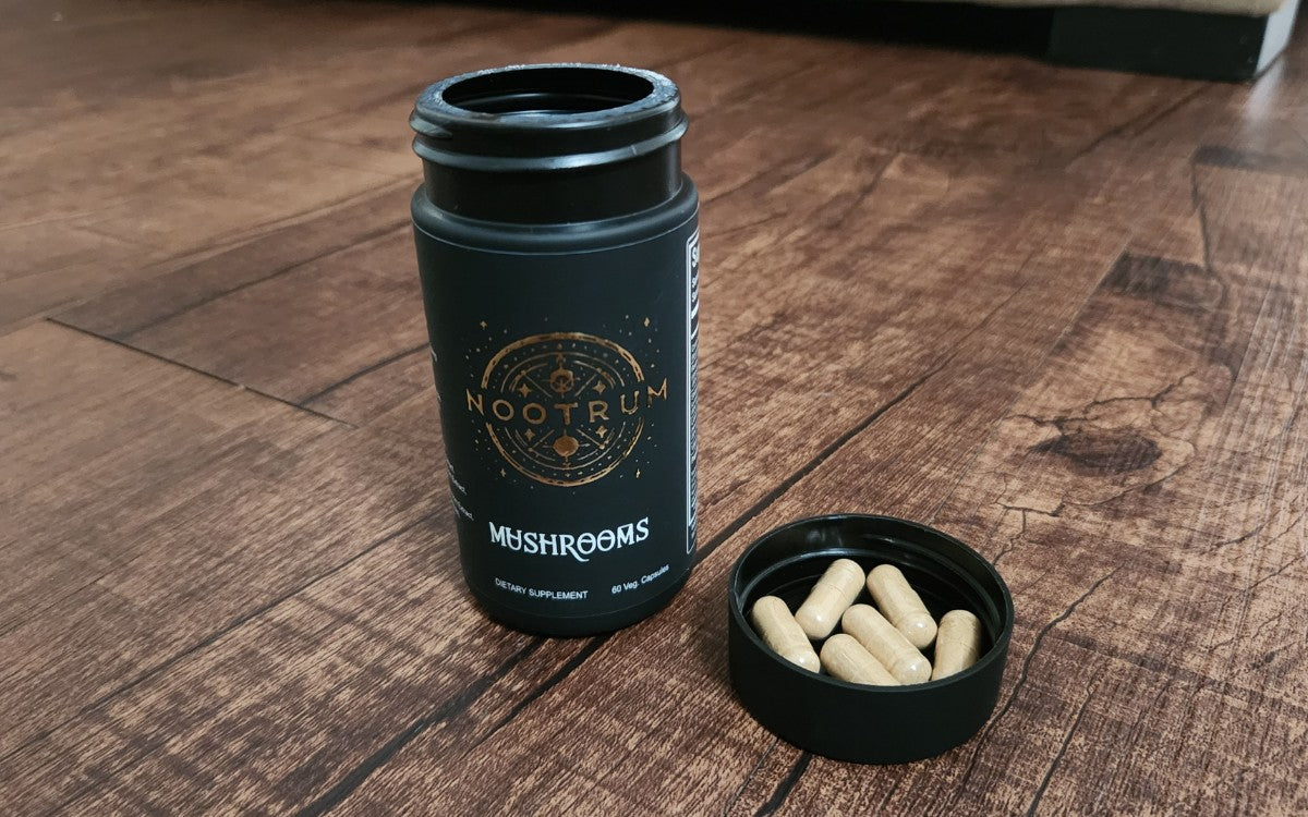 Best Mushroom Supplements
