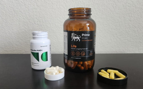 Best NAD Supplement