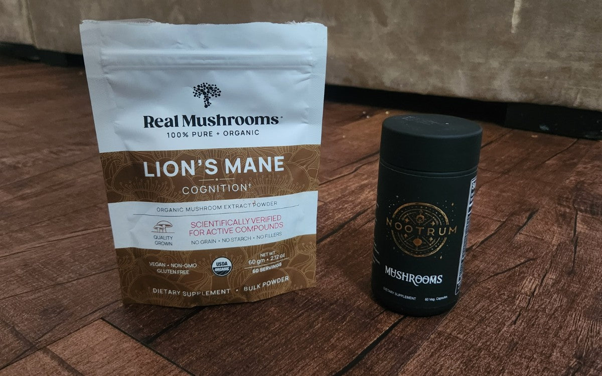 Best Nootropic Mushrooms
