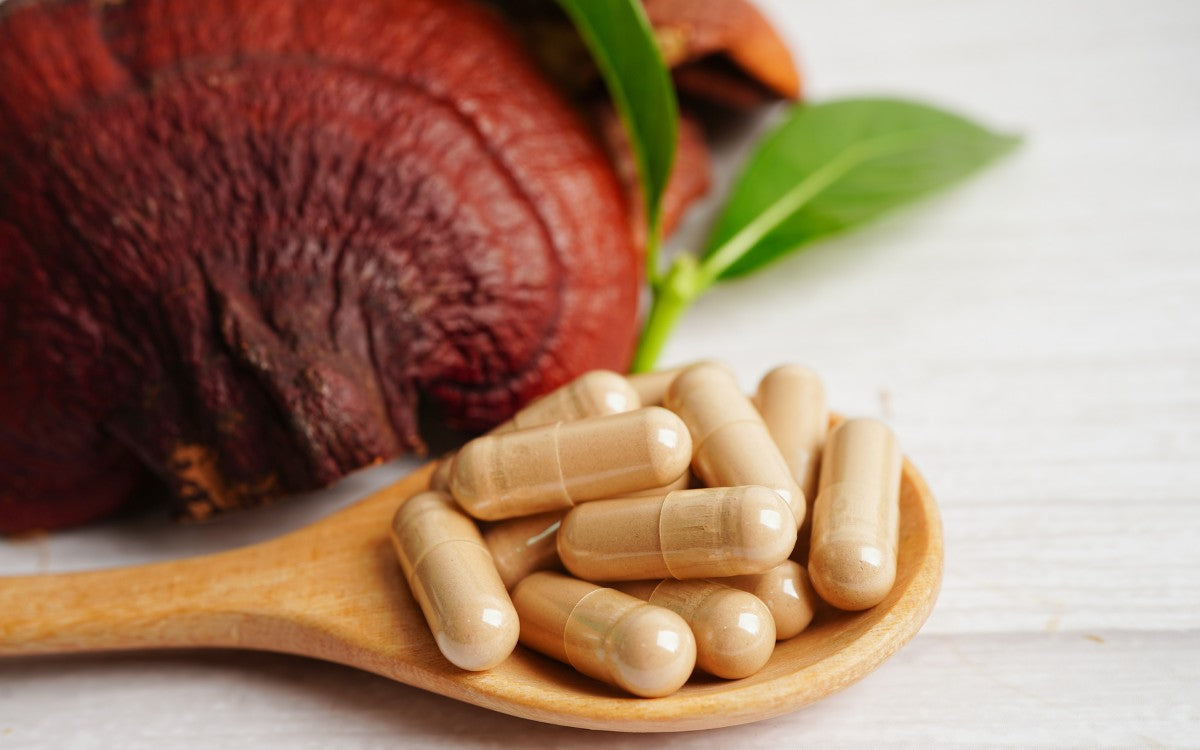 Best Reishi Mushroom Supplement