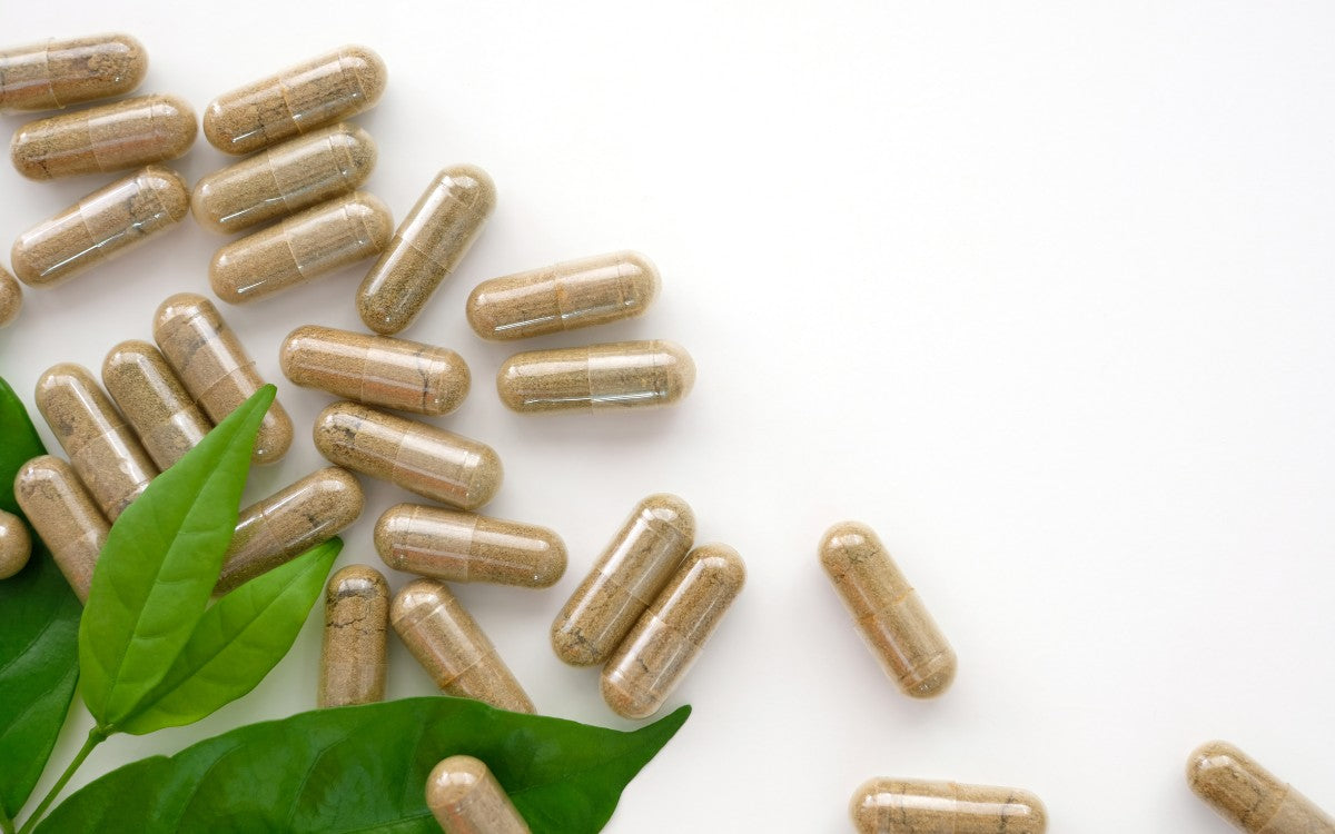 Best Sea Moss Supplements