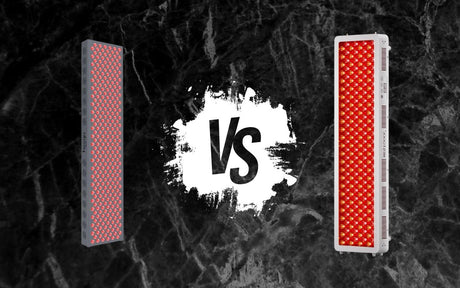BestQool vs Hooga: I Tried Both (Who Wins In 2026?)