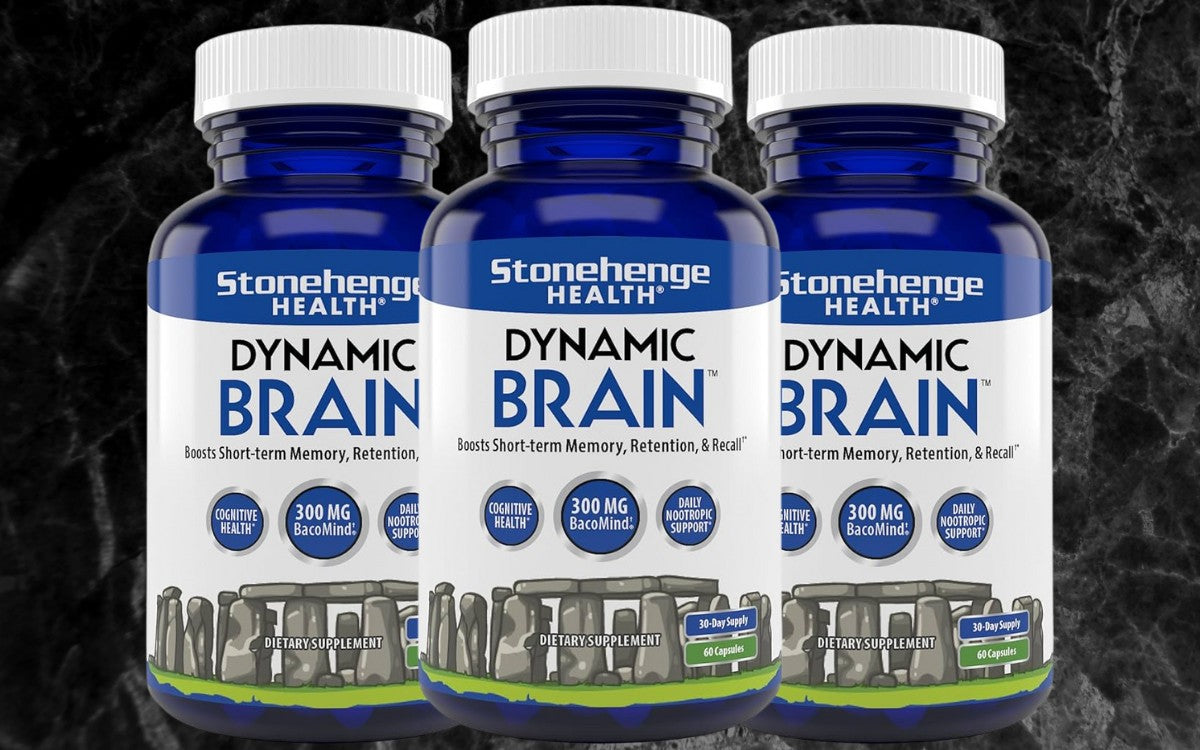 Dynamic Brain Review