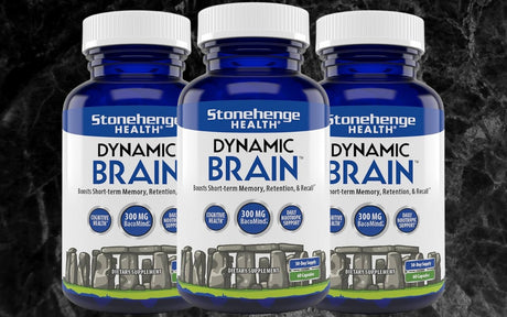 Dynamic Brain Review