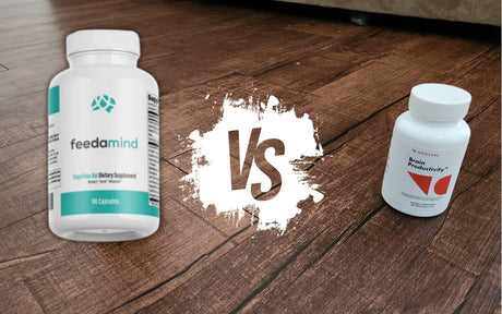 Feedamind vs NooCube