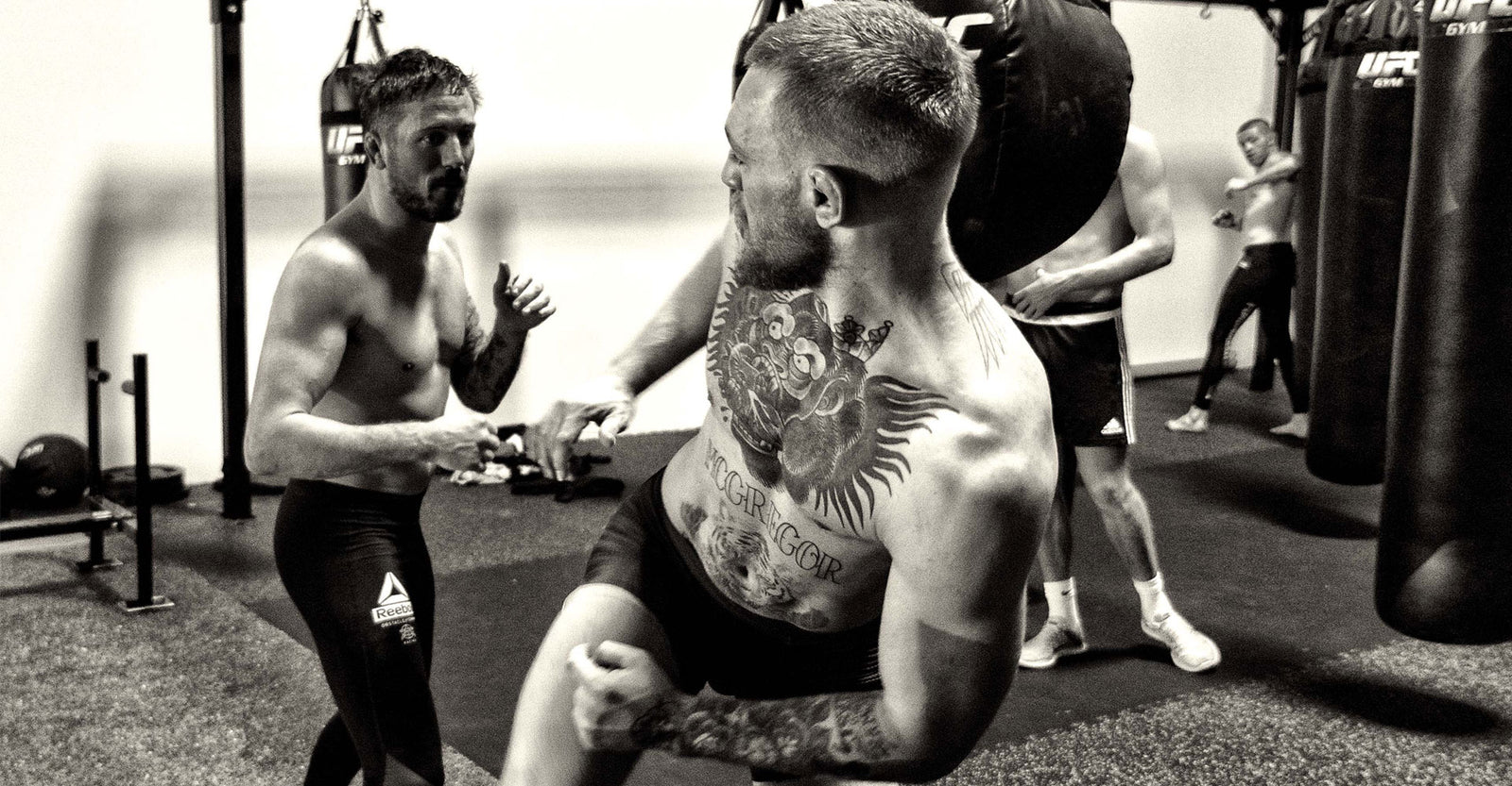 John Kavanagh Coaching Conor McGreggor