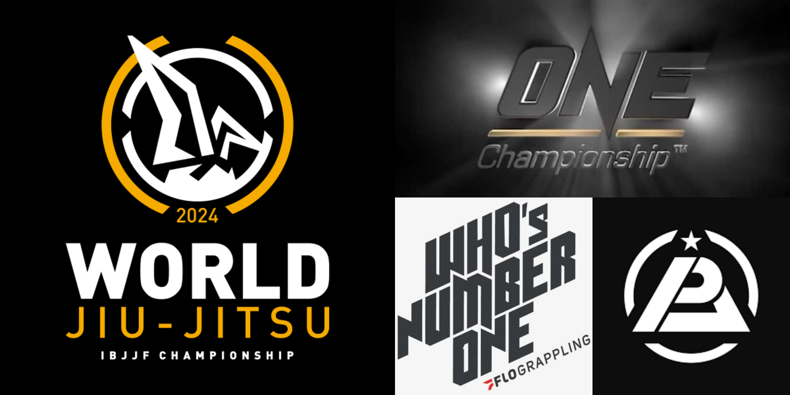 June 2024 Jiu-Jitsu Highlights