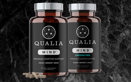 Qualia Mind Review