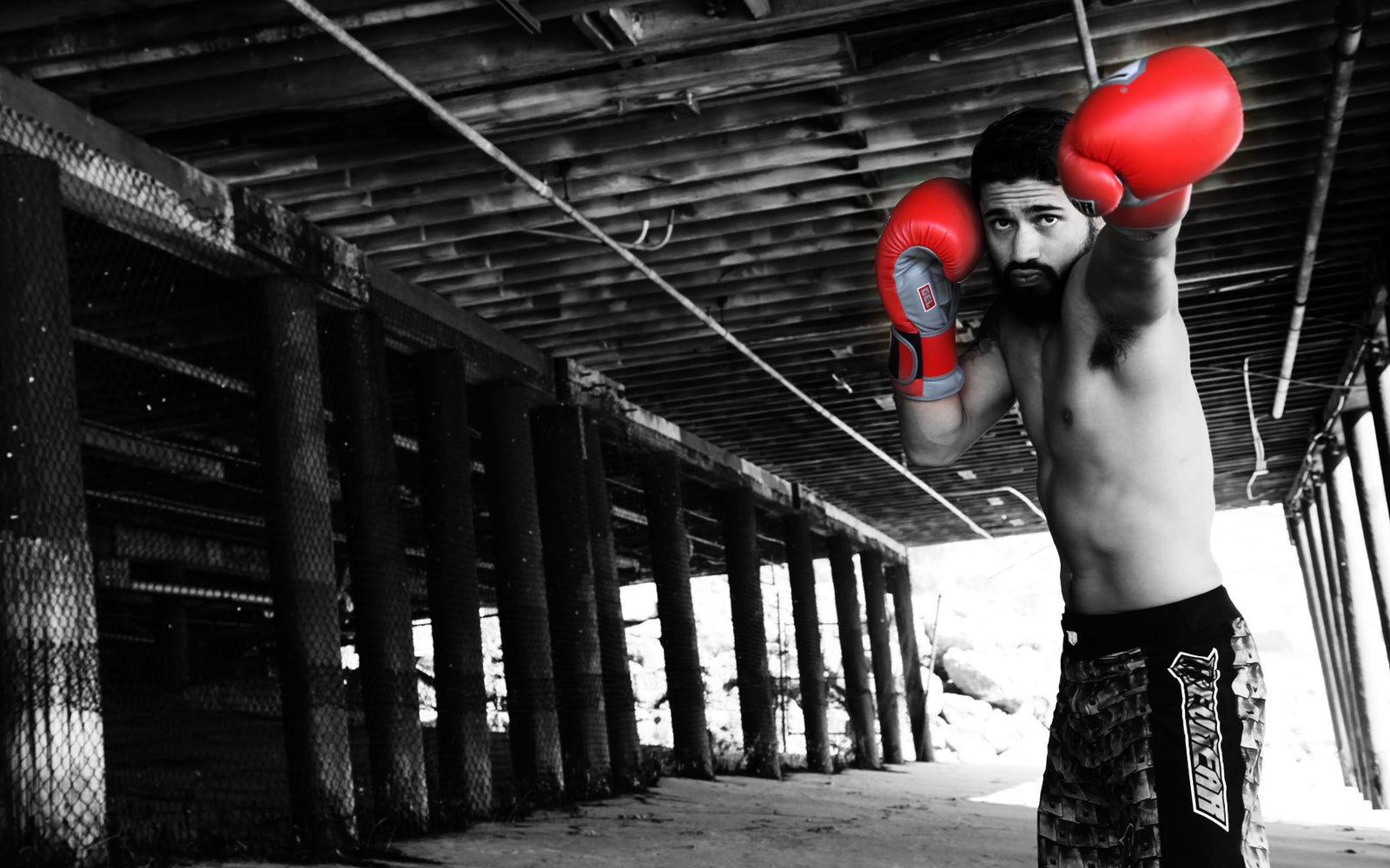 REVGEAR S3 BOXING GLOVE