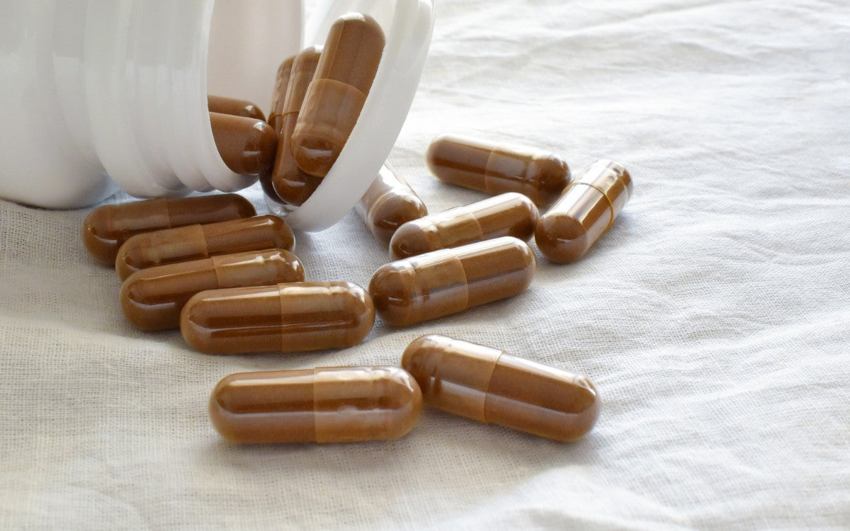 Sacred 7 Mushroom Extract Powder Review
