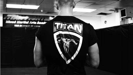 Titan Fight Family
