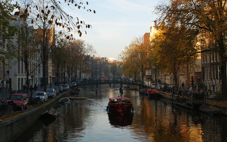Kickboxing in Amsterdam