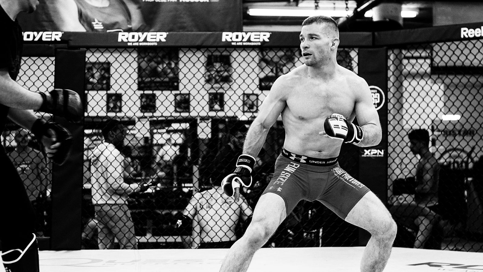 MMA GLOVES