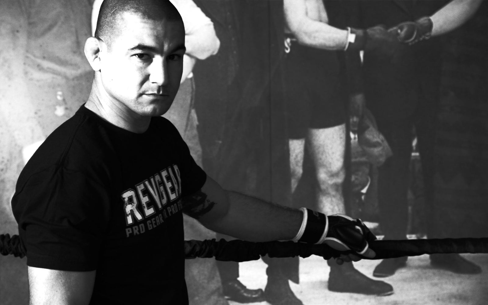 vinc pichel ufc